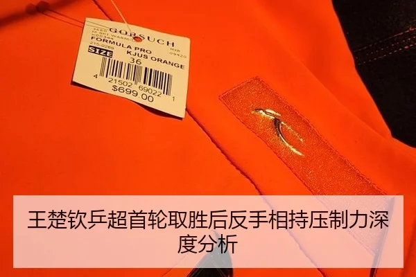 wang-chu-qin-ping-chao-shou-lun-qu-sheng-hou-fan-shou-xiang-chi-ya-zhi-li-shen-du-fen-xi-2-762.jpg